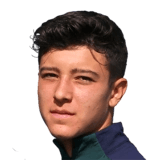Pizzignacco