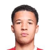 Tiago Santos