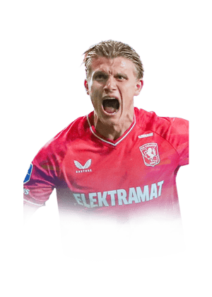 Steijn