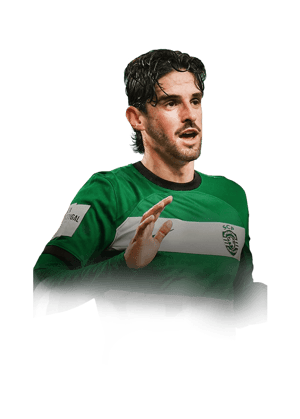 Trincão