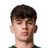 Rodrigo Ribeiro