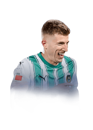 Loureiro da Costa