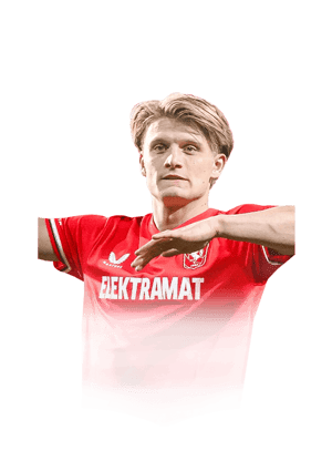 Steijn