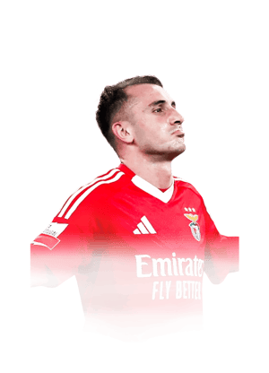 Aktürkoğlu