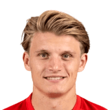 Steijn