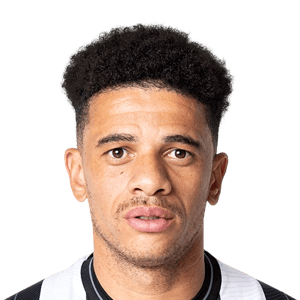 Taison