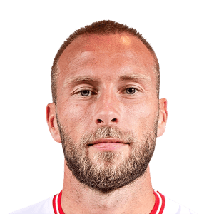 van der Hoorn