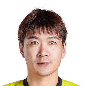 Zhao Honglue