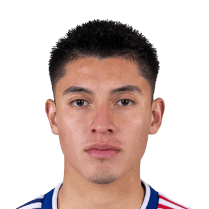 Farfan
