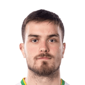 Vagić