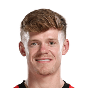Lewis-Potter