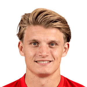 Steijn