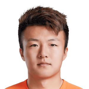Zhao Jianfei