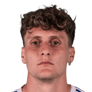 Piccinini