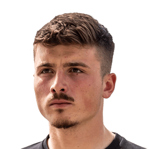 Telalovic