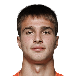 Orlikowski