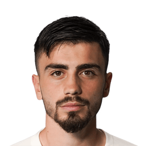 Şahin