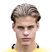 van der Wilt