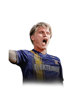 Steijn