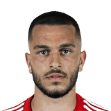 Ibrahimović