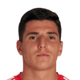 Martim Neto