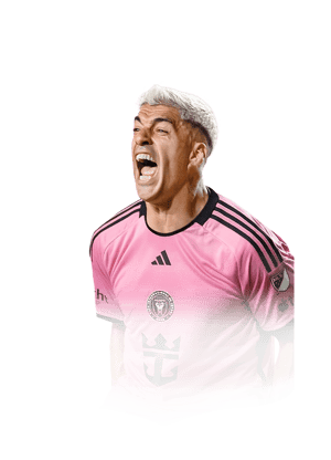 Suárez