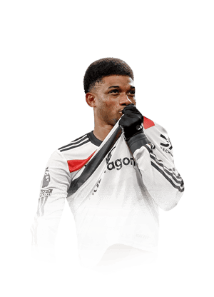 Diallo
