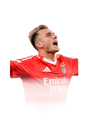 Aktürkoğlu
