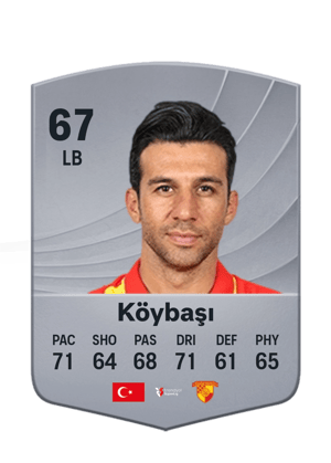 Köybaşı - 67 - Common
