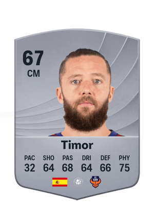 Timor - 67 - Common