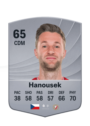 Hanousek - 65 - Common