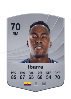 Ibarra - 70 - Common