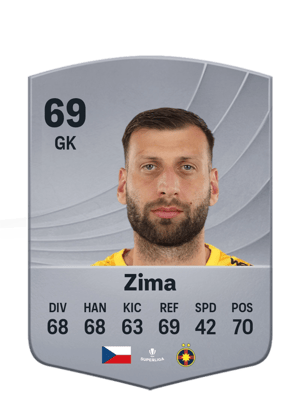 Zima - 69 - Common