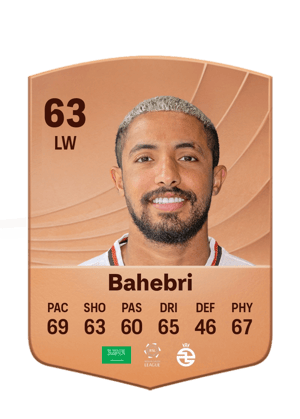 Bahebri - 63 - Common