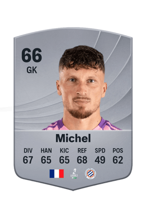 Michel - 66 - Common