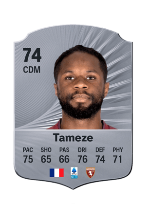 Tameze - 74 - Rare
