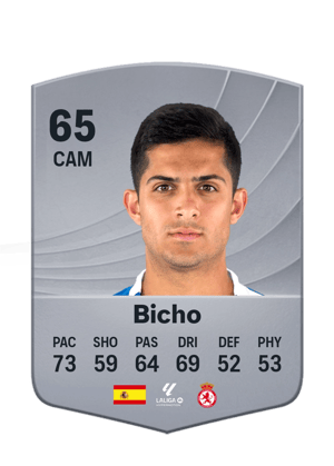 Bicho - 65 - Common