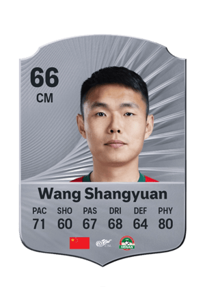 Wang Shangyuan - 66 - Rare