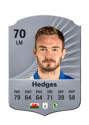 Hedges - 70 - Rare