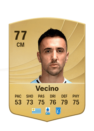 Vecino - 77 - Common