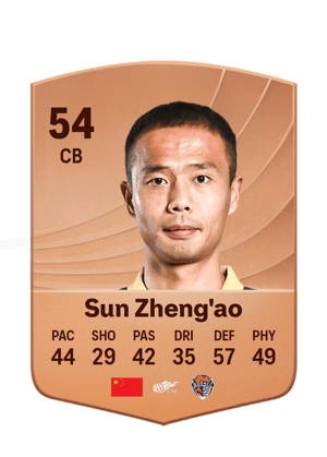 Sun Zheng'ao - 54 - Common