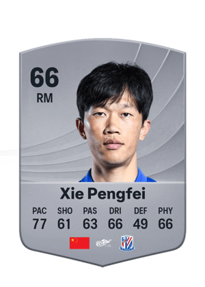 Xie Pengfei - 66 - Common
