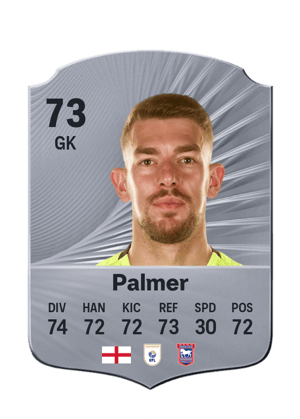 Palmer - 73 - Rare