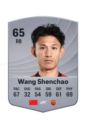 Wang Shenchao - 65 - Common