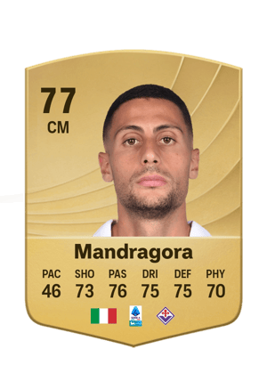 Mandragora - 77 - Common