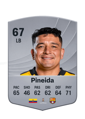 Pineida - 67 - Common