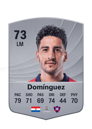 Domínguez - 73 - Common
