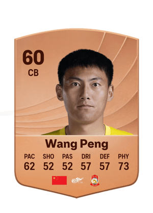 Wang Peng - 60 - Common