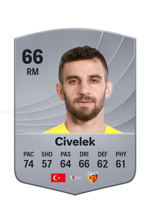 Civelek - 66 - Common