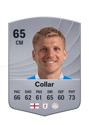 Collar - 65 - Common
